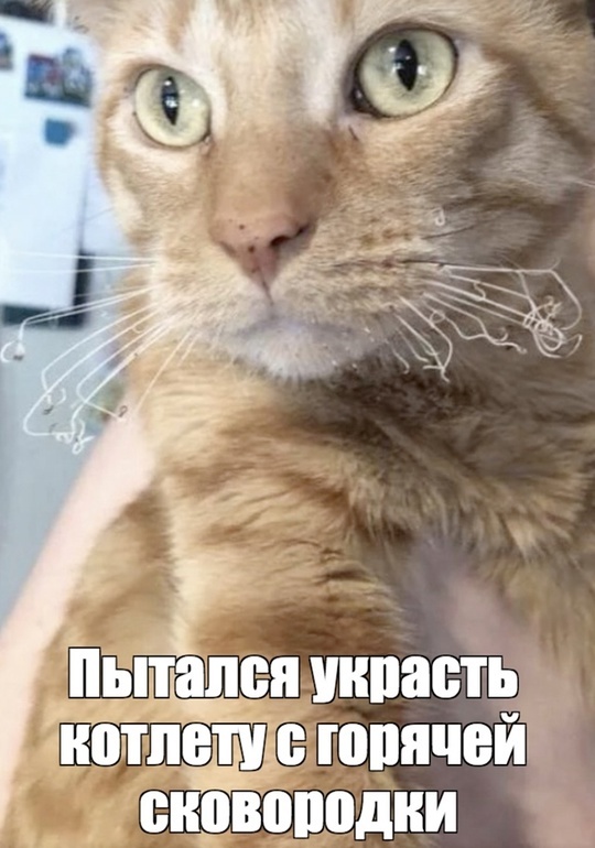    , , , 