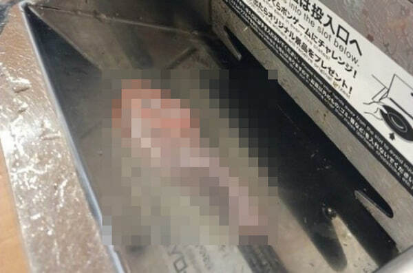 <!--noindex--><a href="https://pikabu.ru/story/ocherednoy_sushiterrorist_popalsya_v_yaponii_12876642?u=https%3A%2F%2Fshueisha.online%2Farticles%2F-%2F253577%3Fpage%3D1&t=https%3A%2F%2Fshueisha.online%2Farticles%2F-%2F253577%3Fpage%3D1&h=70a3dd1bedeb8e32c310a4762f82365e96aa8a68" title="https://shueisha.online/articles/-/253577?page=1" target="_blank" rel="nofollow noopener">https://shueisha.online/articles/-/253577?page=1</a><!--/noindex-->