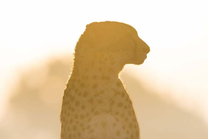   ,  ,  ,  ,  ,  ,   , -, , , 