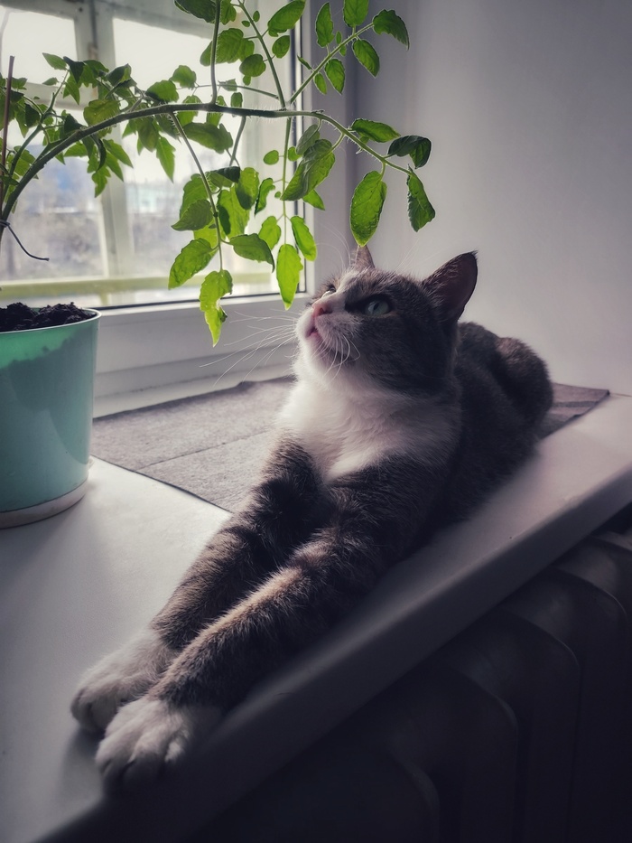    ,  ,  , 