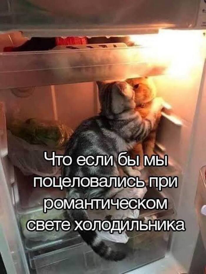     ?   , , , 