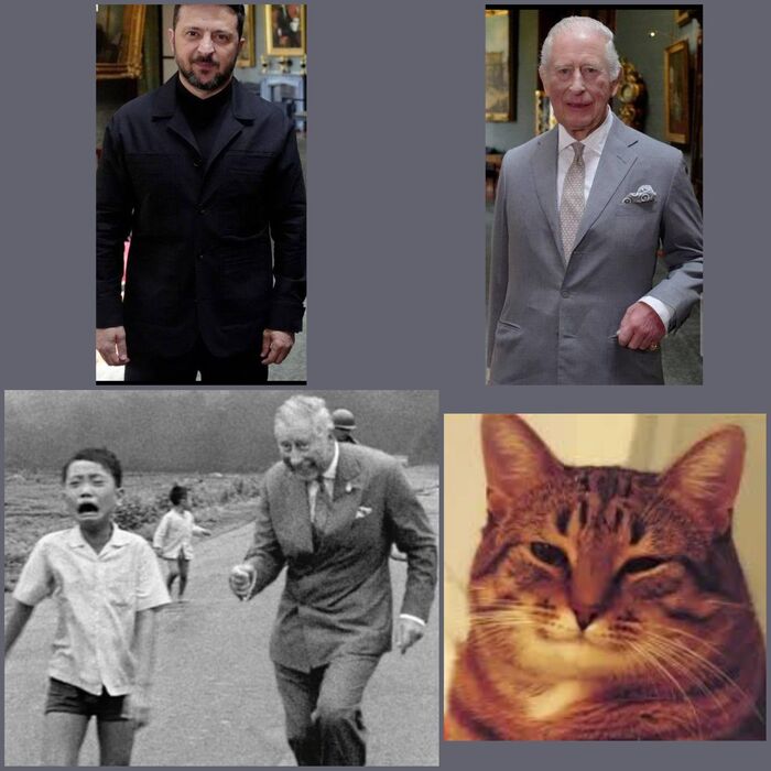    , ,  