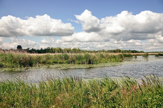 Лето... лето...