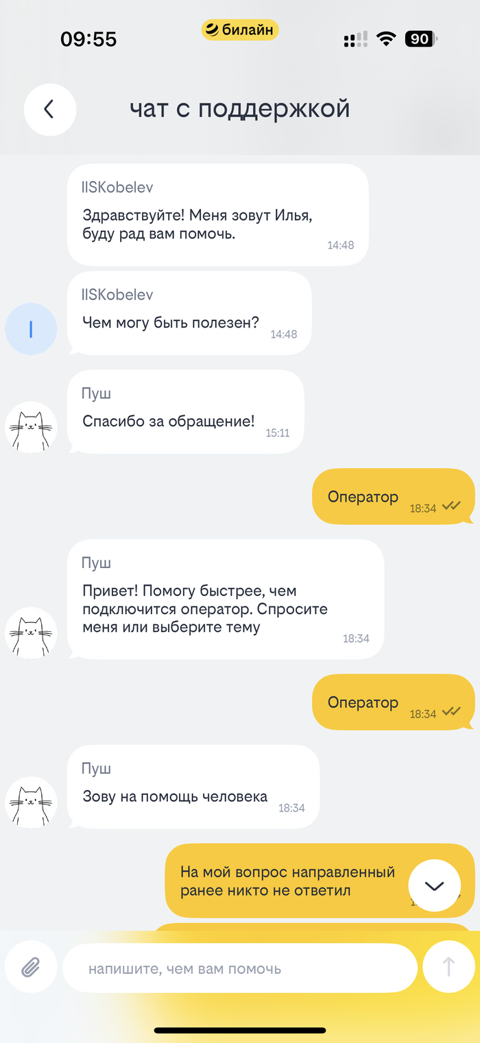 Общение в чате с поддержкой Билайн