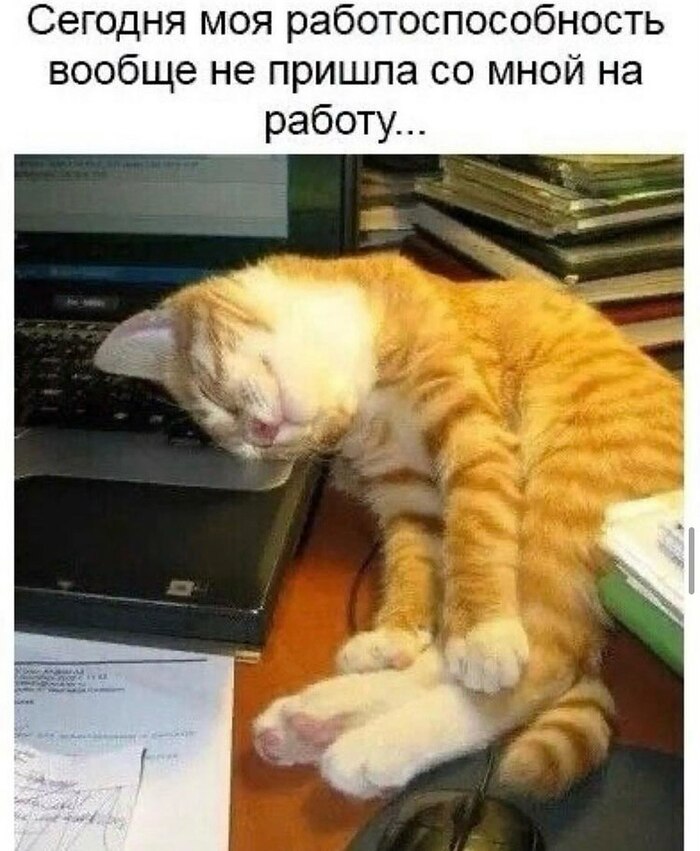   ! , ,   