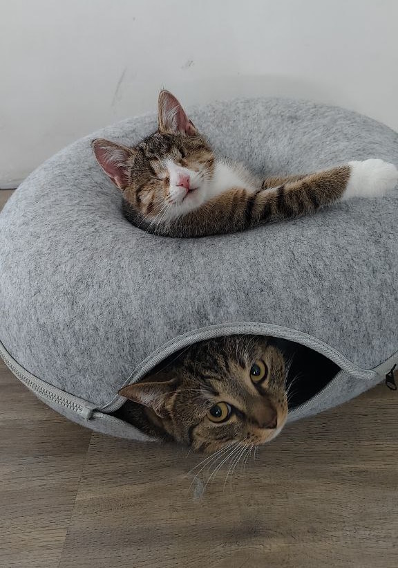      ,      ,  ,  , ,  ,  , ,  , 