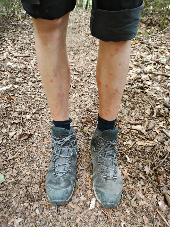 � ������ ���� ������� ���� ��� ������� ���� (�����)