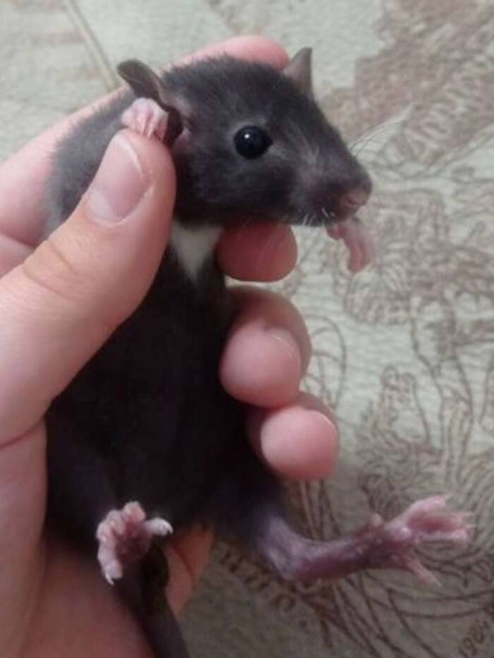  ,       , ,  ,  , , , , ,  , 