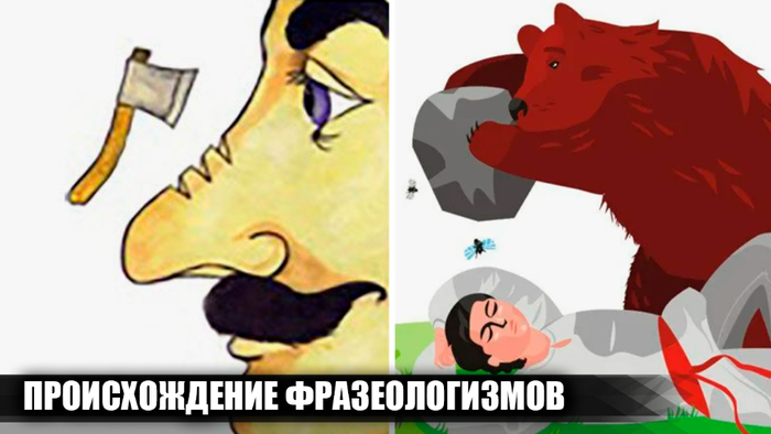    7    : "  ", " "    ,   , , , Telegram (),   (), 