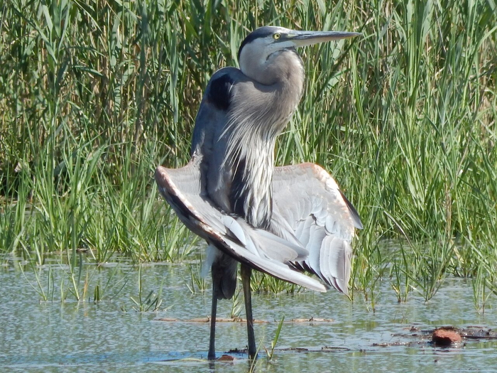 Как чувствуешь себя после первого дня в качалке.