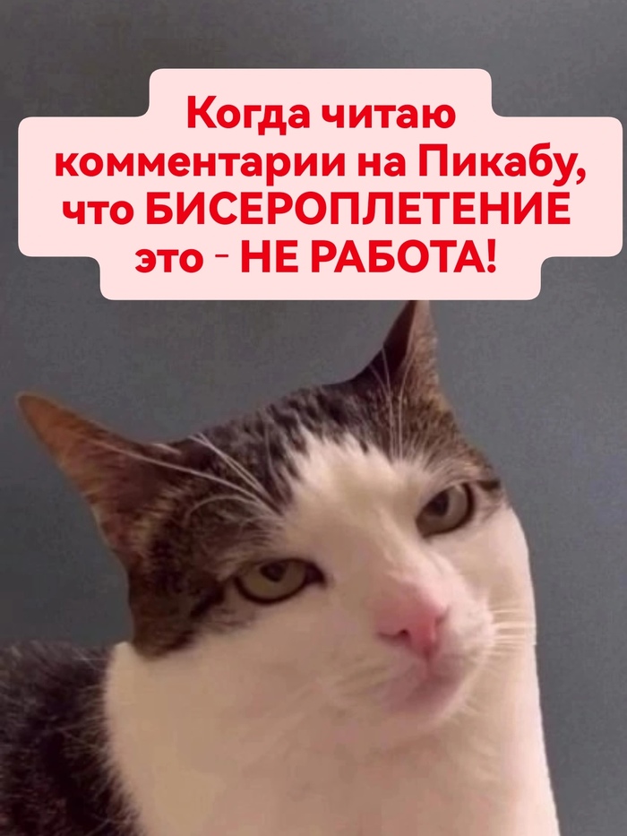     ,   , , , , , ,   , ,  , , , 