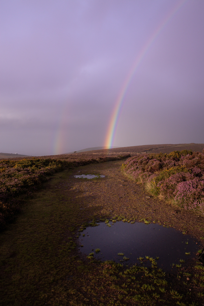 Rainbow , 