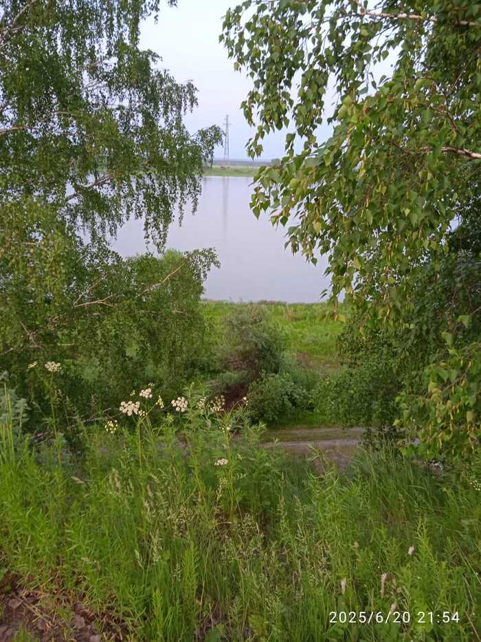 ���� �� ������