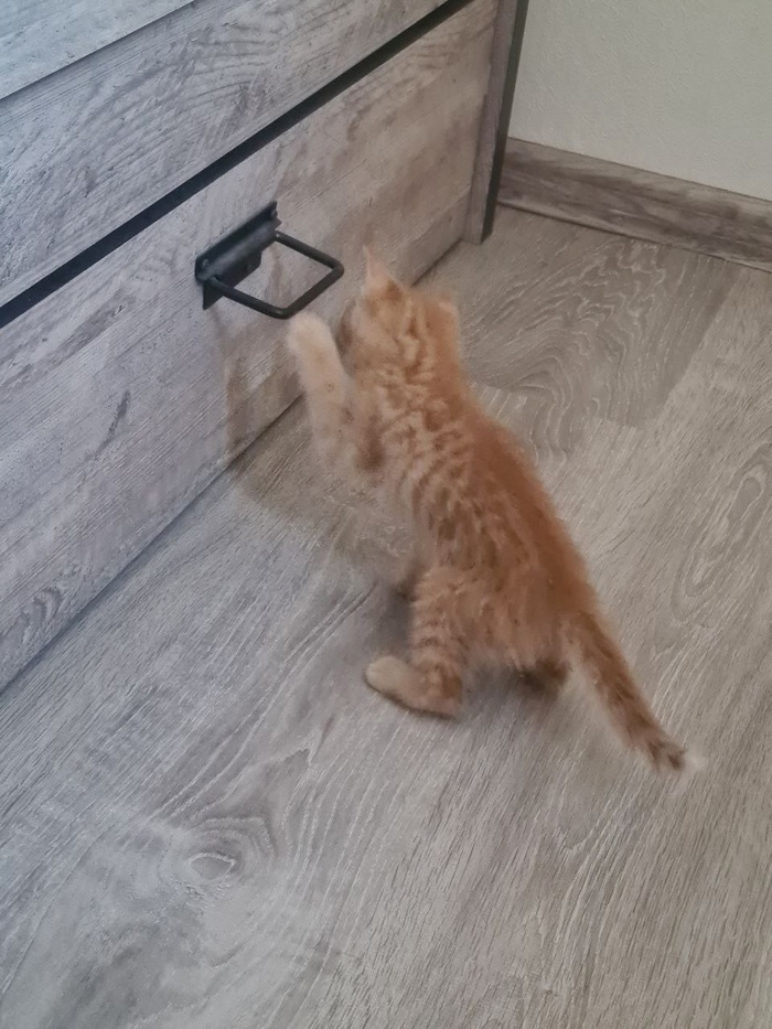       ,     , ,  , ,  , 
