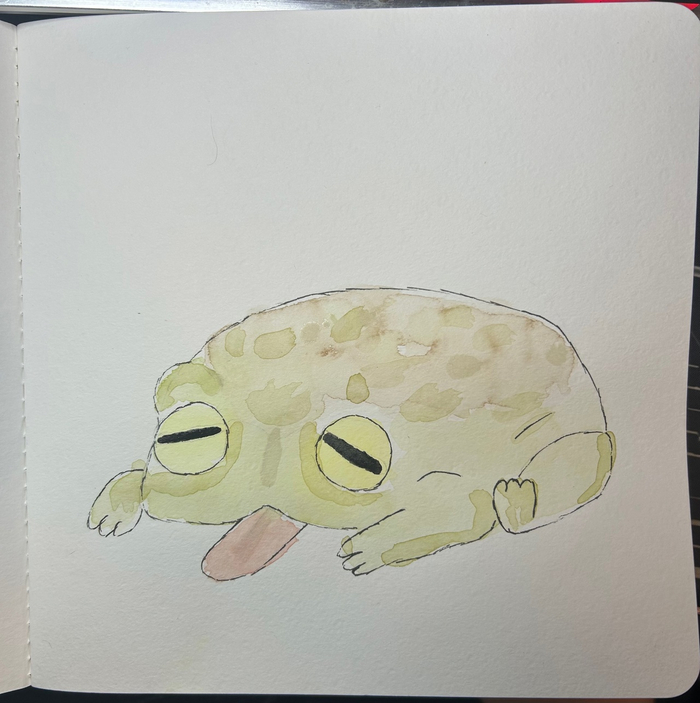   -   , It Is Wednesday My Dudes, , 