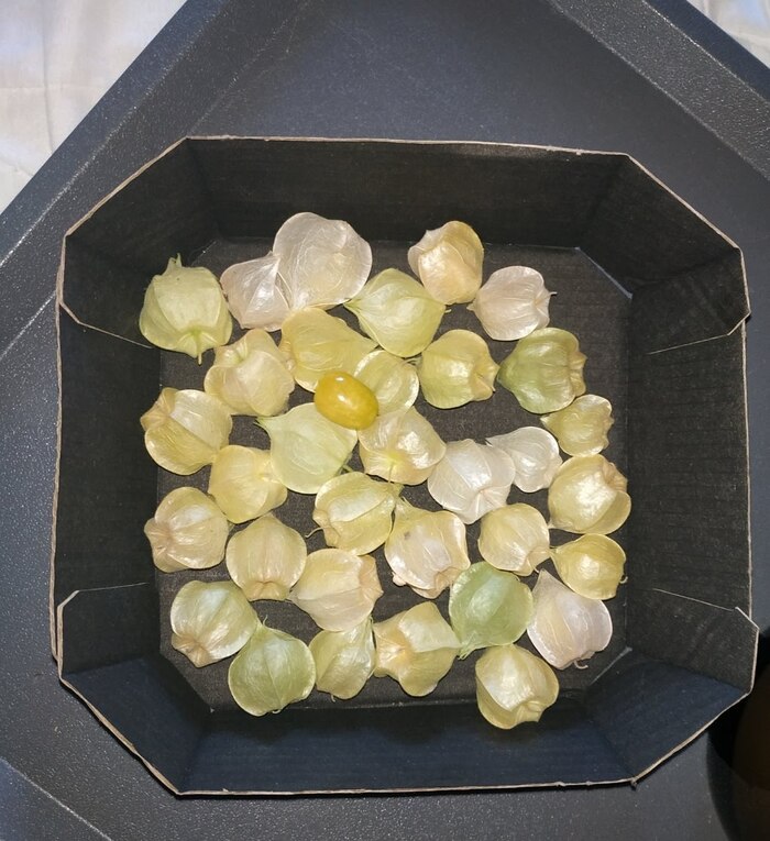    ,   , , , , , , , 
