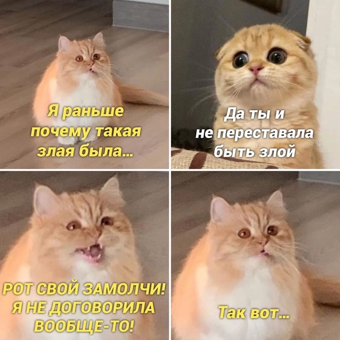     , , , , 