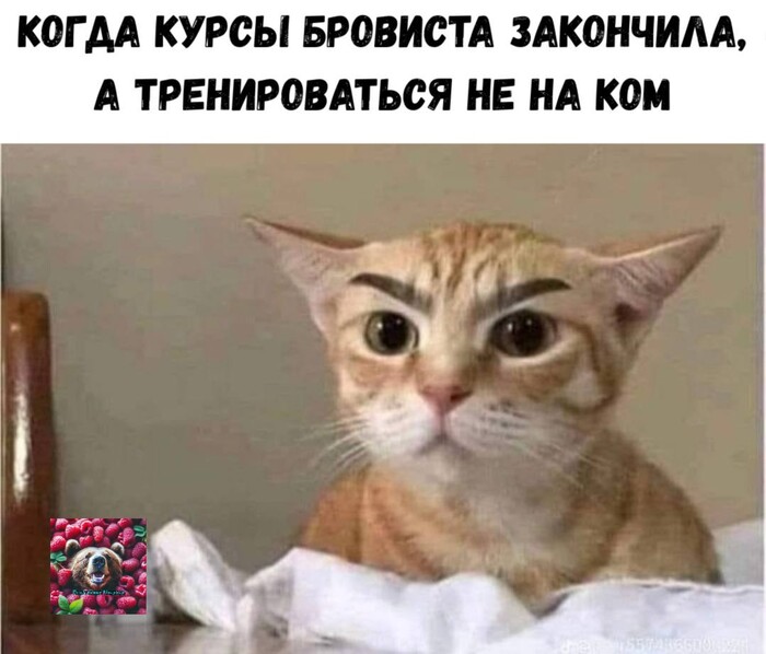 ���������� �������