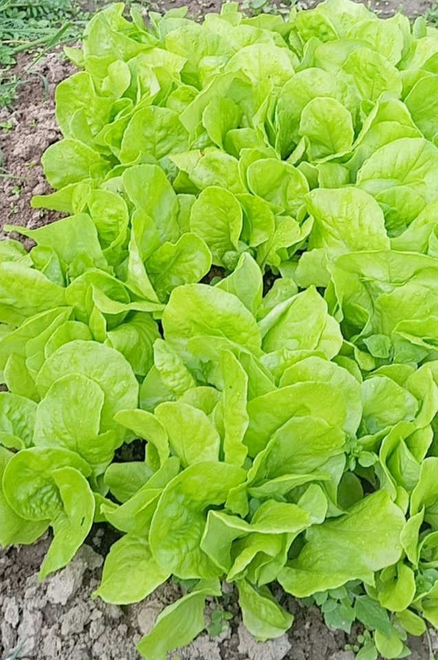 �������, � ��� �� �����!