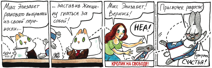    25.06.2025 ,   (), , 