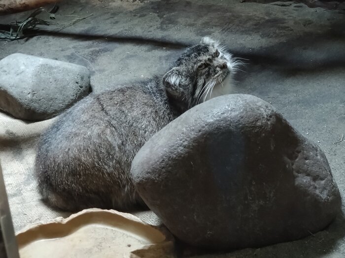 Утро пятницы не такое ненавистное...