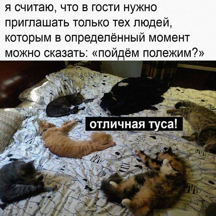   ,   , , , , Telegram ()