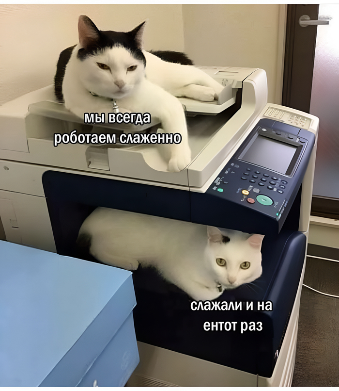      , 