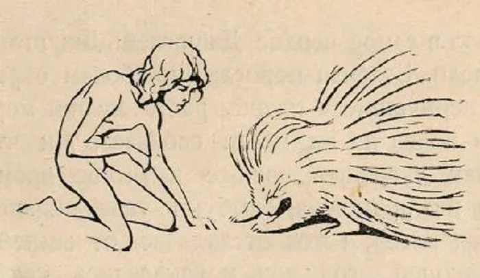 Маугли - выдуманное слово и несуществующая книга Детская литература, Сказка, Редьярд Киплинг, Маугли, Длиннопост