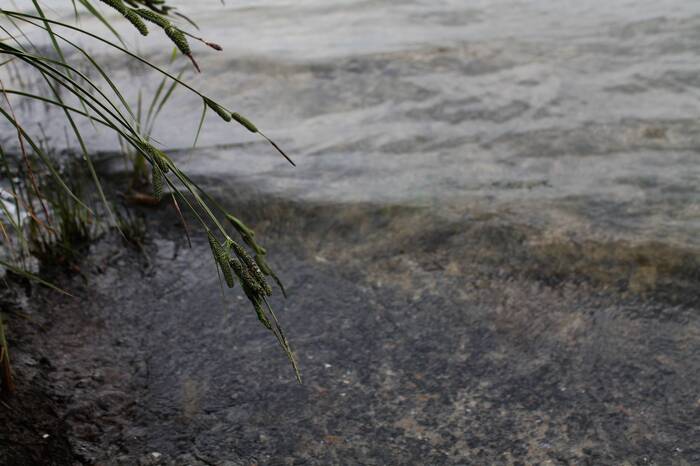 ��, ��� ������������� ������, ����������, � ����� ����� ����. ������� �������, ��� �� ��������� ��� ������������ ����� � ����, ��� ������� �������� �� �����. � �� �������� ������ �� ��������, ������ �������� �������.