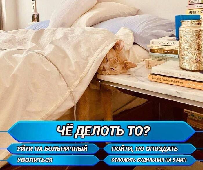     ? , , , , ,  