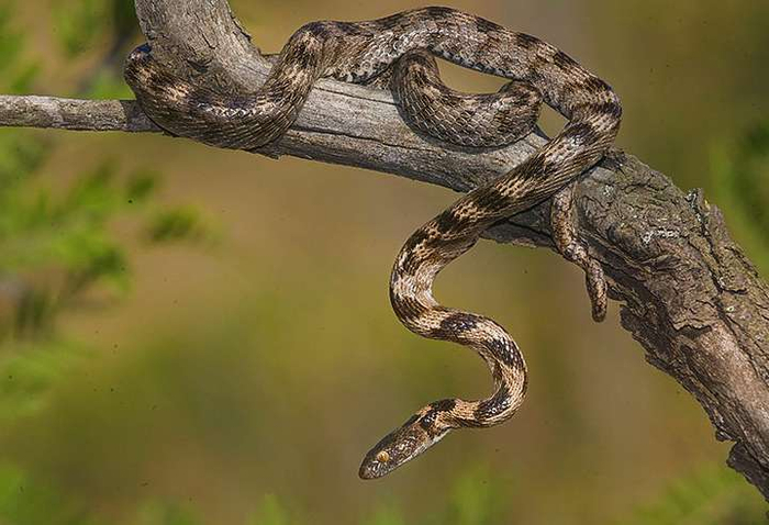  :     .     ? , , ,  ,  ,   (), 