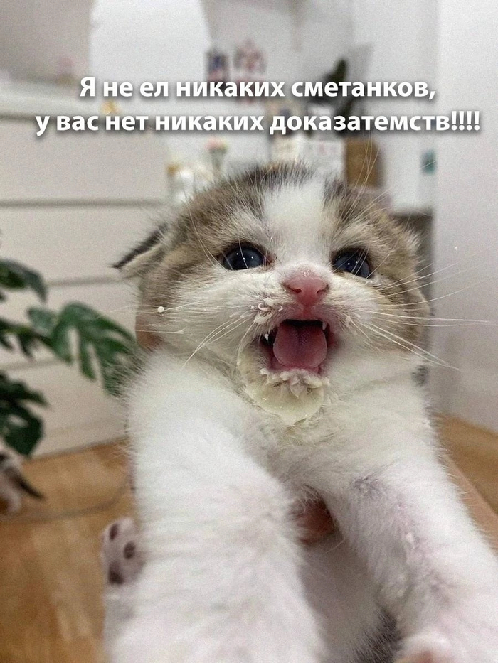 И ведь реально нет