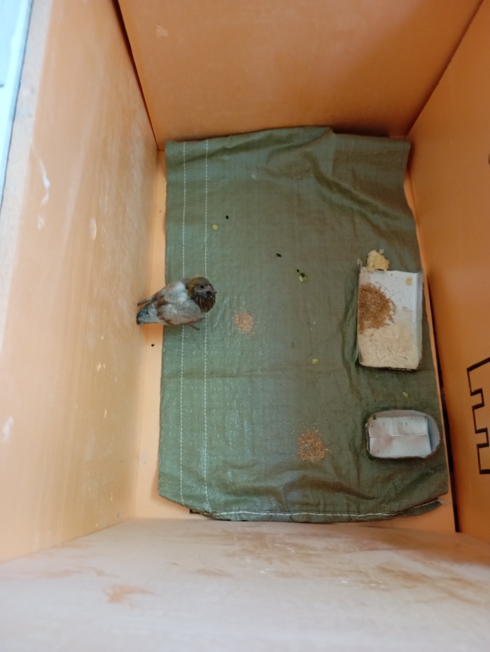   , , ,  ,  , 