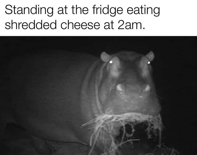Memes in English Telegram (),  ,  , ,   ,  