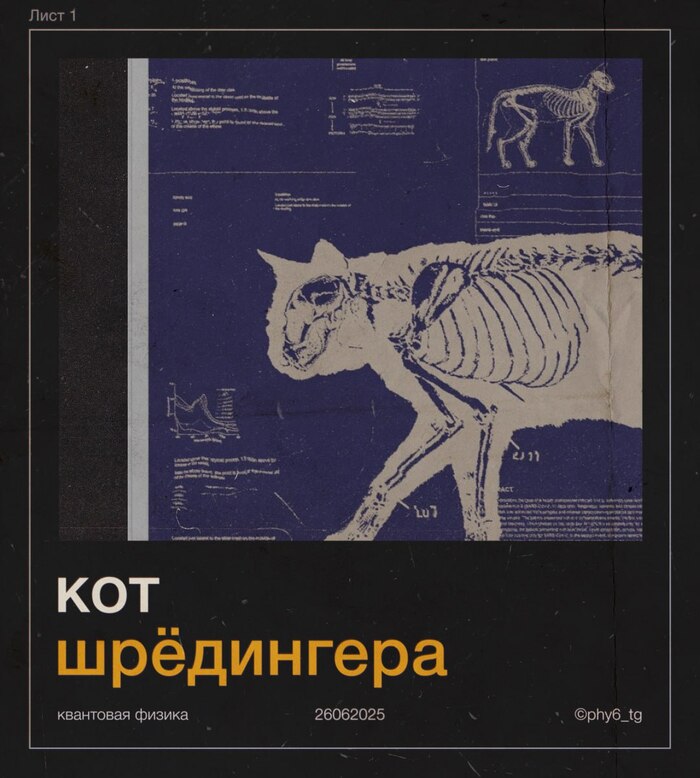     , , ,  , ,  , 