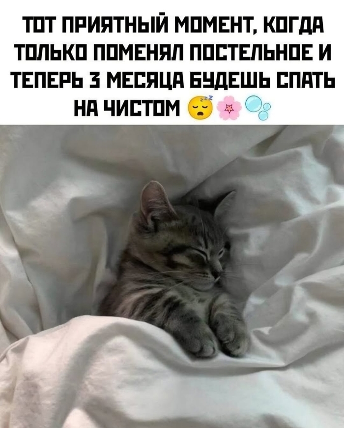 �� ������ ����