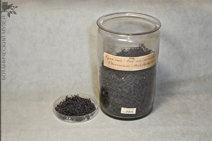 - -     .          1885 .      .