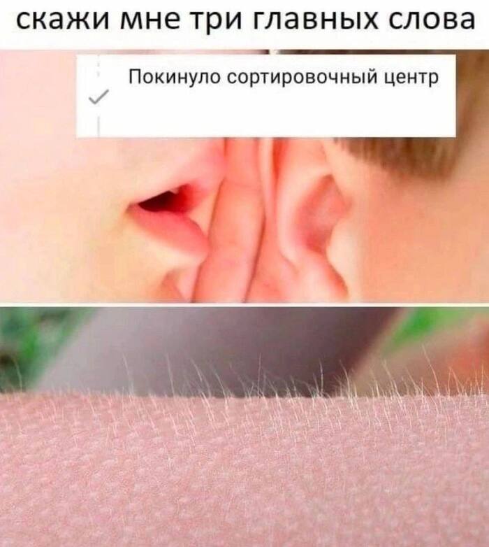 ����� ��������� � WildBerries