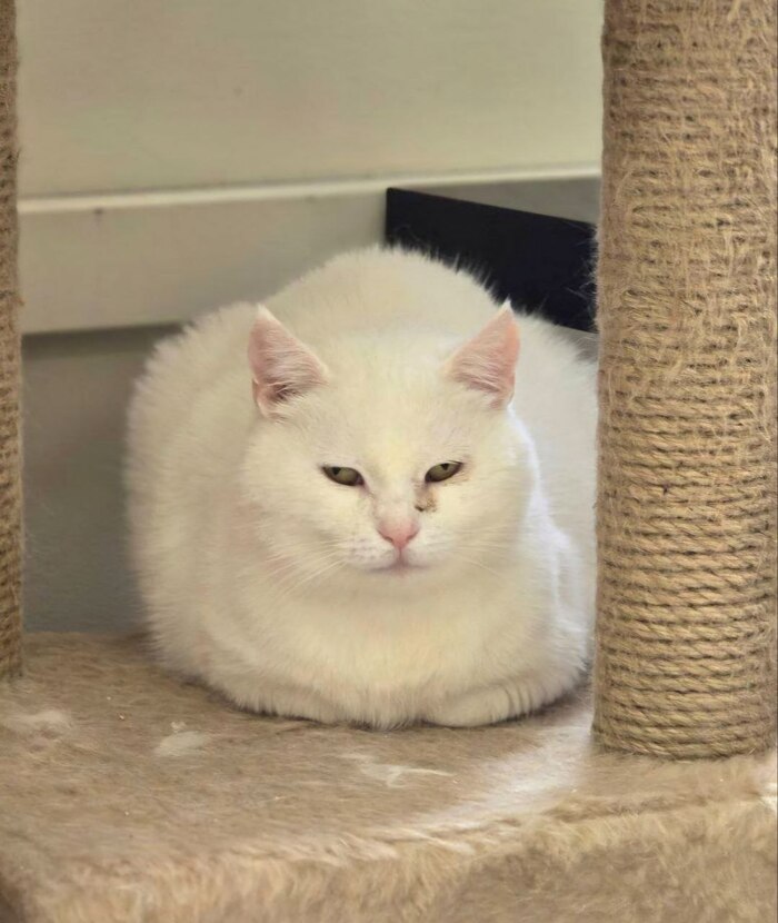    , ,  , , -, , , ,   