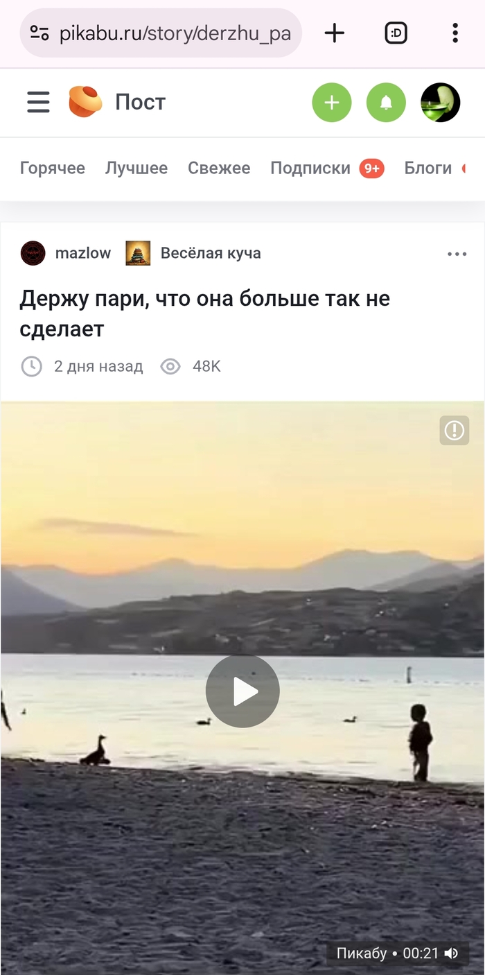 .    ,       ,   , 