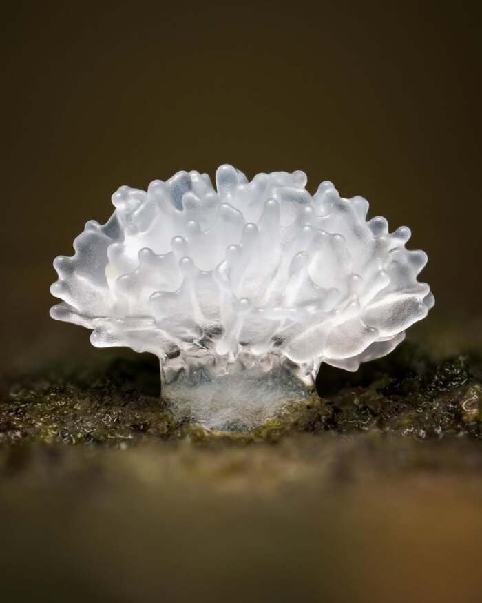   , ,  ,  , , , 