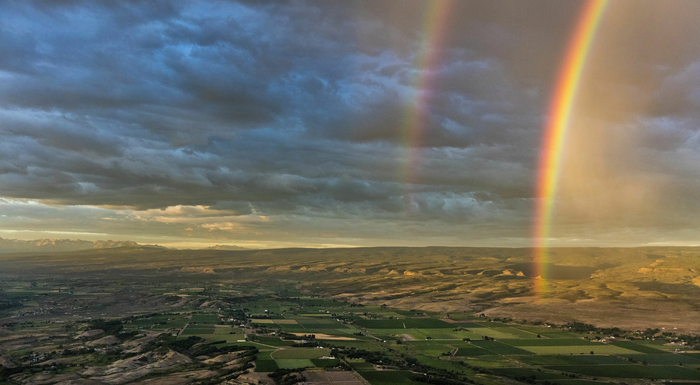 Rainbow