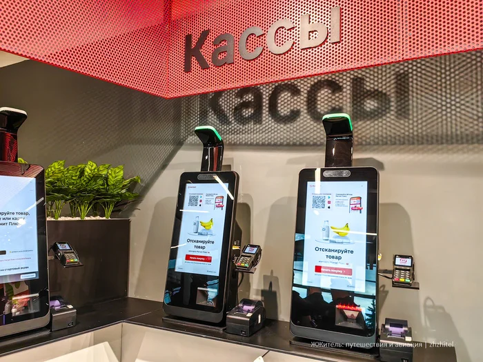 В аэропорту Домодедово резко подешевело: открылся «Магнит» без бешеных наценок Продукты, Туризм, Экономия, Цены, Путешествия, Домодедово, Аэропорт, Супермаркет Магнит, Путешествие по России, Лайфхак, Фотография, Длиннопост