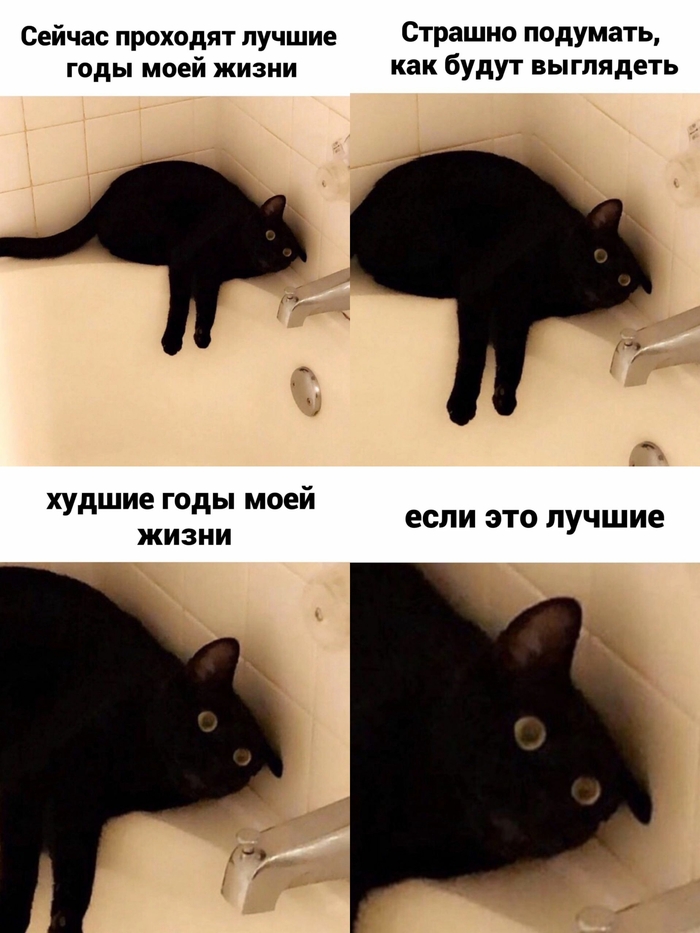 -  ,   ,  