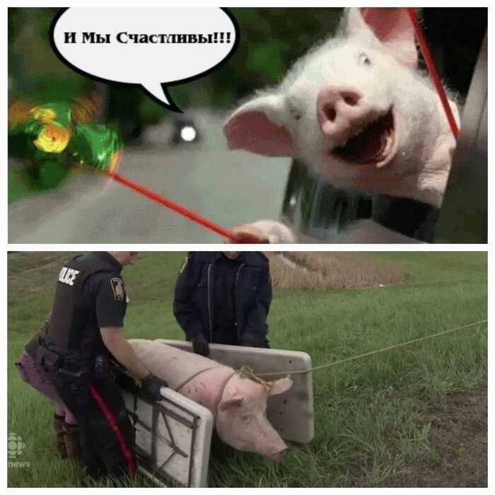      , , , , ,   ,   