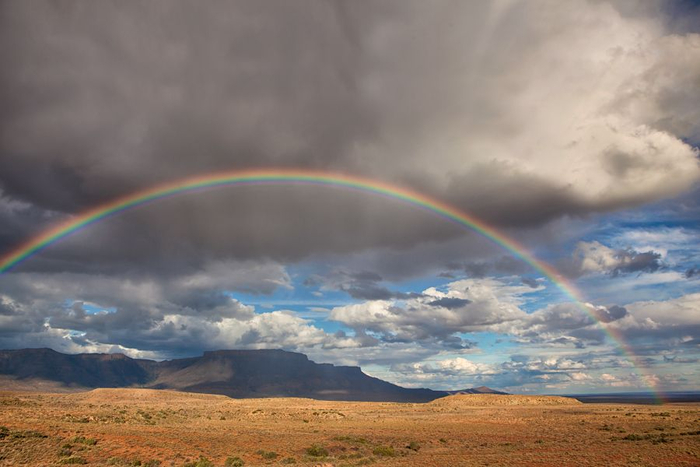 Rainbow
