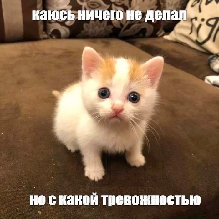   , , , 
