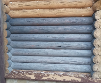 �������� �����