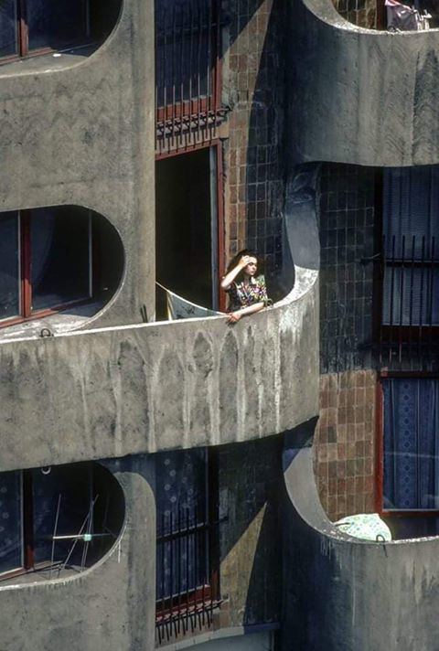  1982  , ,  , , 80-
