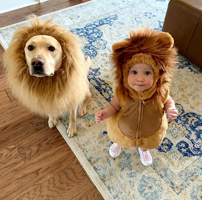 ������-���� ����? �����!